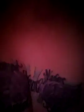 Snapshot of julimonroe chatting on 02.18.26 julimonroe online show from 02.18.26