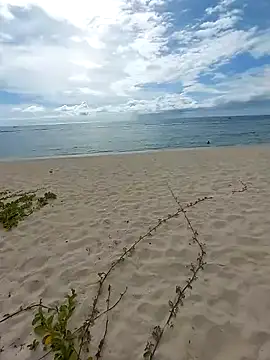 LightedWoman online show from 01.02.25