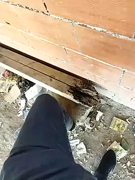 K-27 online show from 10.05.25