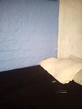 Snapshot of fablob23 chatting on 01.02.25 fablob23 online show from 01.02.25