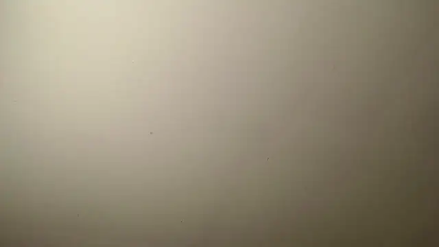 agatha prime online show from 03.30.26