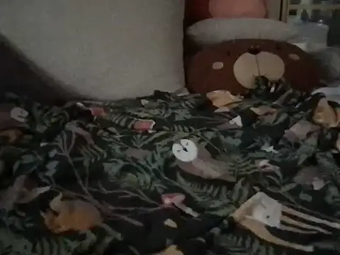 Snapshot of Perwers_41 chatting on 11.02.25 Perwers 41 online show from 11.02.25