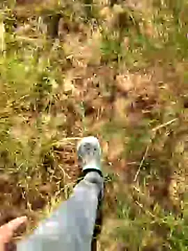 Gopal1243 online show from 01.07.26