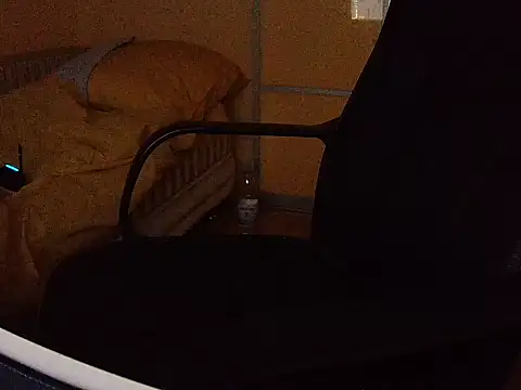 Snapshot of KmlBI26 chatting on 12.28.24 KmlBI26 online show from 12.28.24