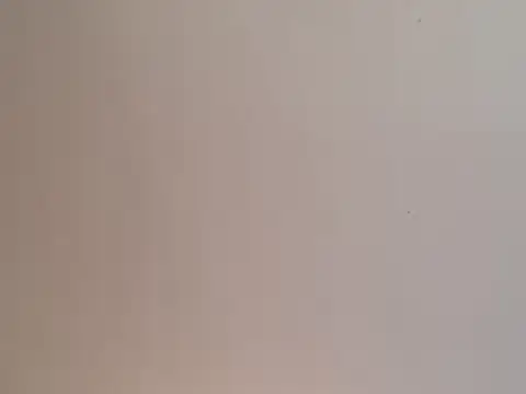 Snapshot of highstepper500 chatting on 12.25.24 highstepper500 online show from 12.25.24