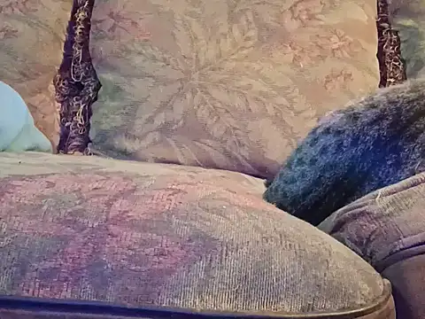 Snapshot of highstepper500 chatting on 12.02.25 highstepper500 online show from 12.02.25