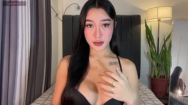 wiggle nibble online show from 11.23.25