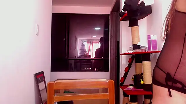 karinasodi 1 online show from 12.03.25