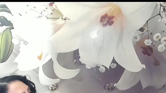 SweetArtemis online show from 02.23.25