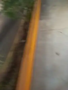 sagrado 1989 online show from 02.08.26