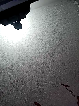 Deina bunny online show from 02.20.25