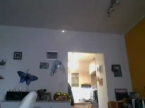 82liska online show from 11.09.25