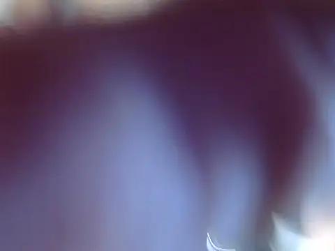 Snapshot of OSIRlS chatting on 12.12.24 OSIRlS online show from 12.12.24