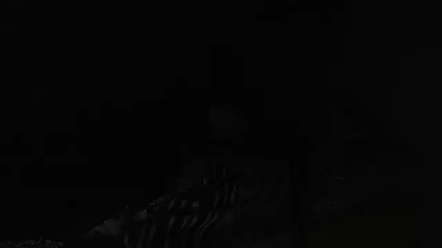 Snapshot of BELINDAXXXXX chatting on 12.13.24 BELINDAXXXXX online show from 12.13.24