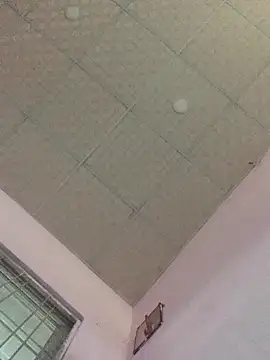 Hullax online show from 11.01.25