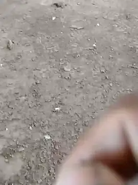 dheck2020 online show from 01.07.25