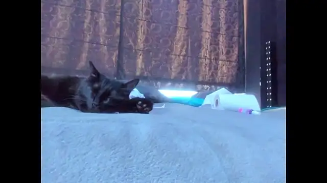 amareto queen online show from 03.25.26