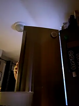 SexyNikki6969 online show from 04.16.26