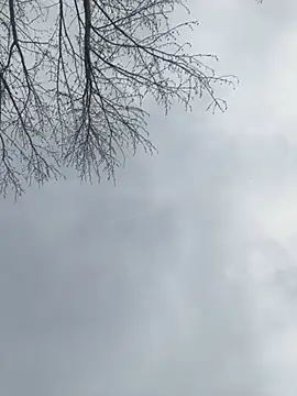 Snapshot of Iceblanca chatting on 03.19.25 Iceblanca online show from 03.19.25