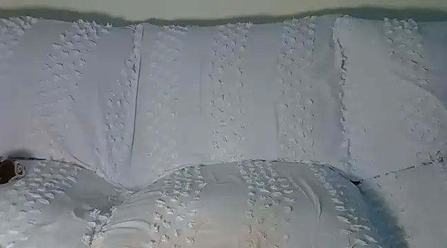 Snapshot of wetmypants chatting on 03.08.25 wetmypants online show from 03.08.25