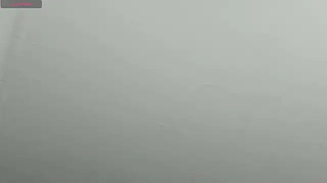 natasha logan  online show from 02.09.25