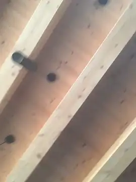 Fellix online show from 12.11.24