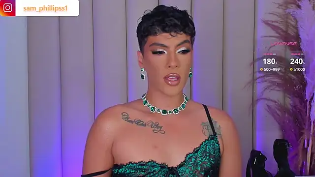 Snapshot of sam_phillipss chatting on 11.17.25 sam phillipss online show from 11.17.25