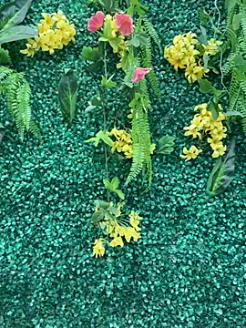 LiaVillalobos online show from 04.18.26