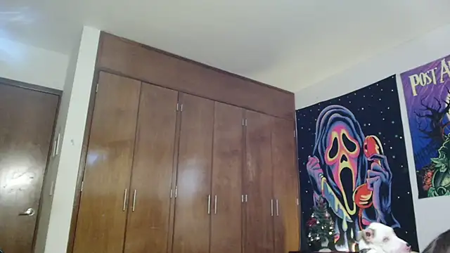 MINI Petite online show from 12.15.25