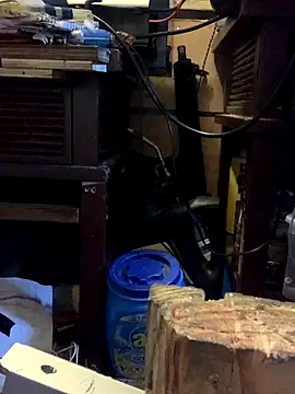 Likewise online show from 10.19.25