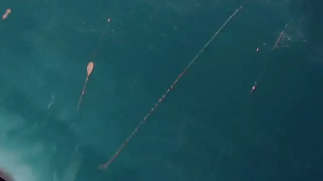 Snapshot of CharlotteBigCock chatting on 01.12.25 CharlotteBigCock online show from 01.12.25