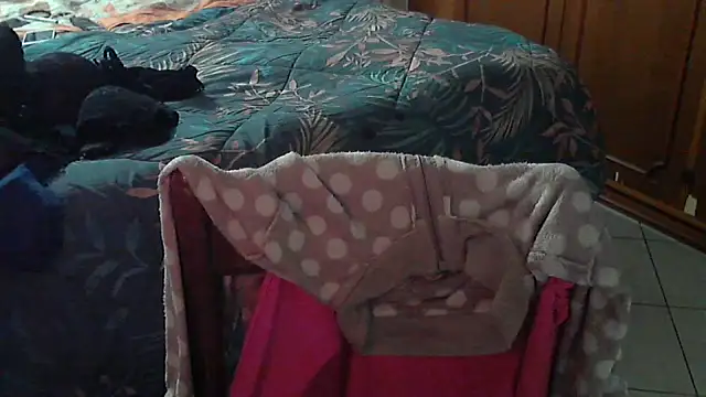 stellin online show from 02.17.26