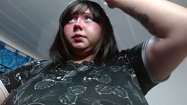 litlle cat online show from 06.02.26