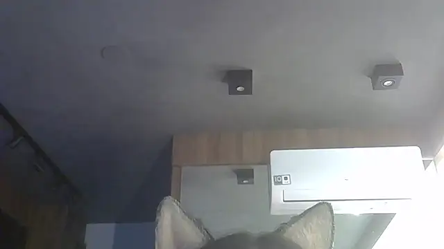 Skinny-Kitten online show from 12.01.25