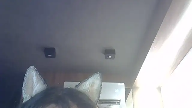 Skinny-Kitten online show from 12.20.25