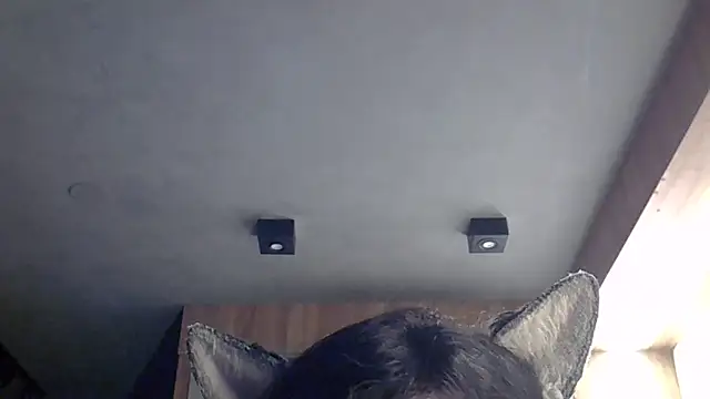 Skinny-Kitten online show from 02.04.26