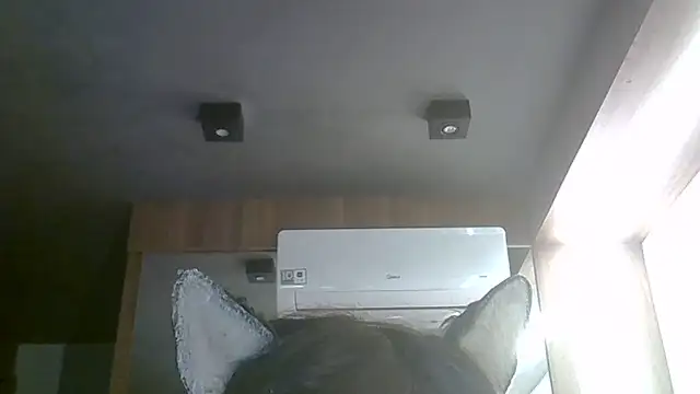 Skinny-Kitten online show from 06.01.26