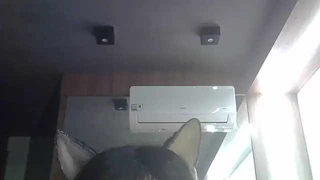 Skinny-Kitten online show from 06.02.26