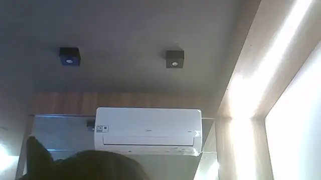Snapshot of Skinny-Kitten chatting on 06.19.26 Skinny-Kitten online show from 06.19.26