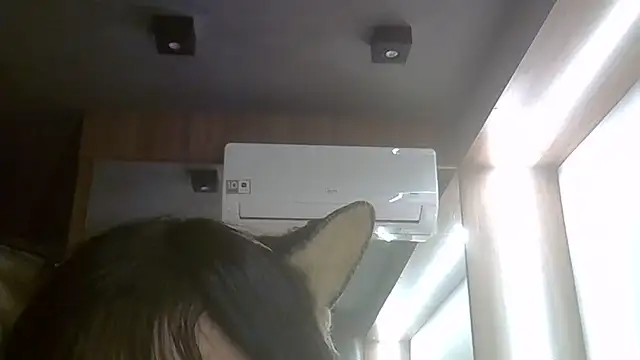 Snapshot of Skinny-Kitten chatting on 06.24.26 Skinny-Kitten online show from 06.24.26