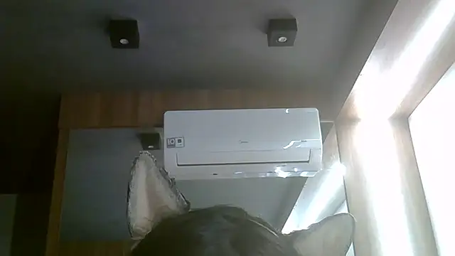 Snapshot of Skinny-Kitten chatting on 07.05.26 Skinny-Kitten online show from 07.05.26