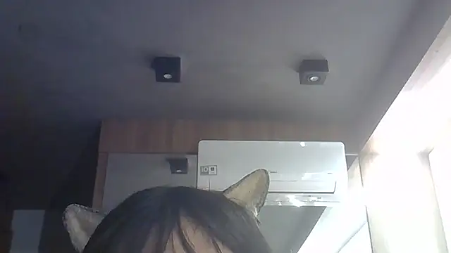 Snapshot of Skinny-Kitten chatting on 07.07.26 Skinny-Kitten online show from 07.07.26