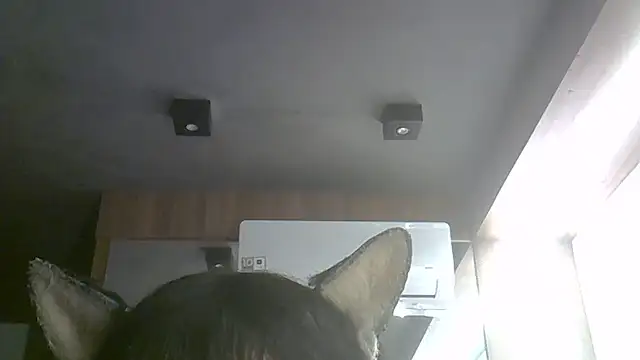 Snapshot of Skinny-Kitten chatting on 07.09.26 Skinny-Kitten online show from 07.09.26