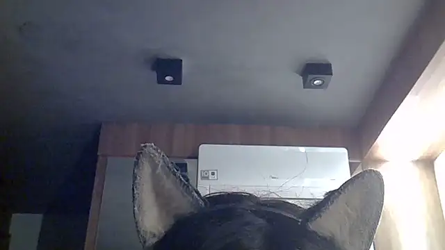 Snapshot of Skinny-Kitten chatting on 07.12.26 Skinny-Kitten online show from 07.12.26