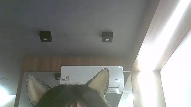 Snapshot of Skinny-Kitten chatting on 07.17.26 Skinny-Kitten online show from 07.17.26