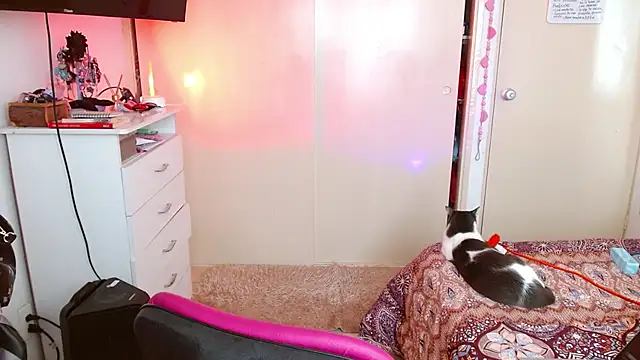 alisseallie online show from 03.21.26