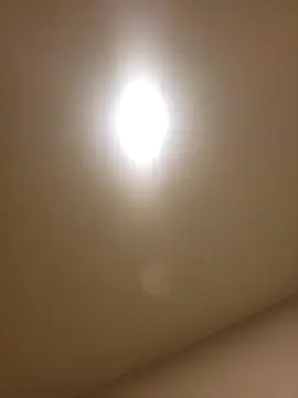 lofibunni online show from 02.14.26