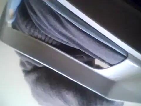 bestofyalcinturkey online show from 03.03.25