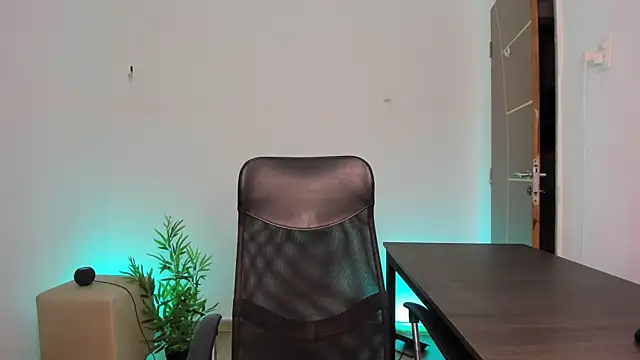 camille-rose online show from 02.24.25