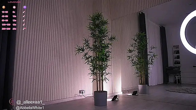 Abbela White online show from 01.23.25